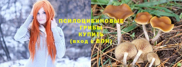 ALPHA PVP Михайловск