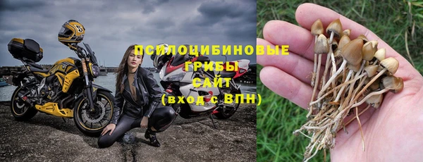ALPHA PVP Михайловск