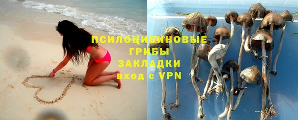 гидропоника Михайловка