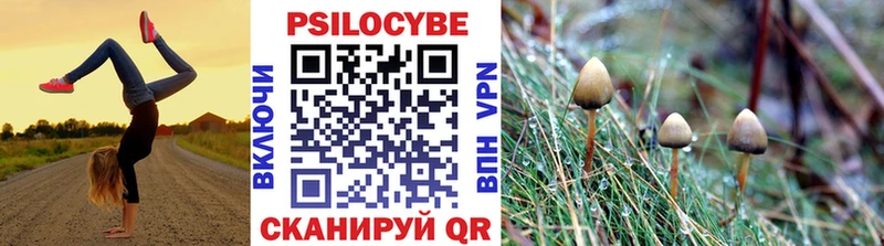 Псилоцибиновые грибы Cubensis  ссылка на мегу tor  Среднеуральск 