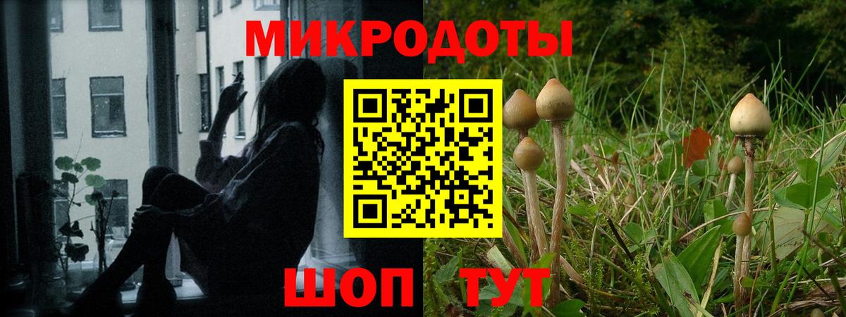 Среднеуральск  Галлюциногенные грибы Psilocybe  Галлюциногенные грибы Cubensis  Вход с VPN 
